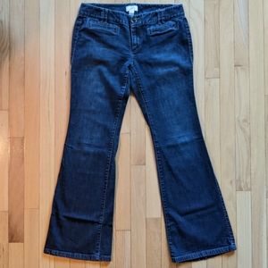 Loft Dark Wash Flare Jeans
